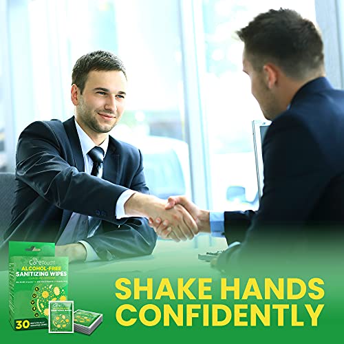Care Touch Alcohol-Free Hand Sanitizing Wipes, 30 Individually Wrapped Hand W...