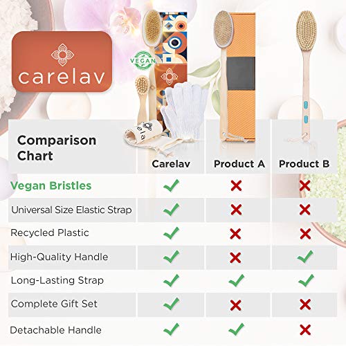 100% Vegan Dry Brushing Body Brush Set - Firm Bristles Dry Scrub Brushes for ...