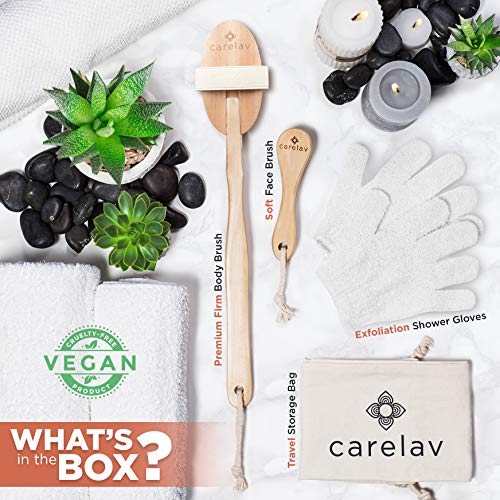 100% Vegan Dry Brushing Body Brush Set - Firm Bristles Dry Scrub Brushes for ...