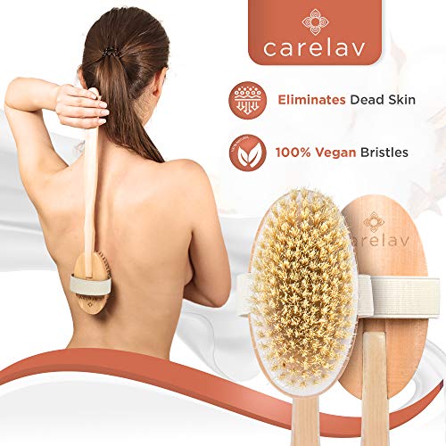 100% Vegan Dry Brushing Body Brush Set - Firm Bristles Dry Scrub Brushes for ...