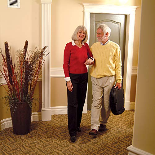 Carex Uplift Premium Seat Assist Plus With Memory Foam - Chair Lift And Sofa ...