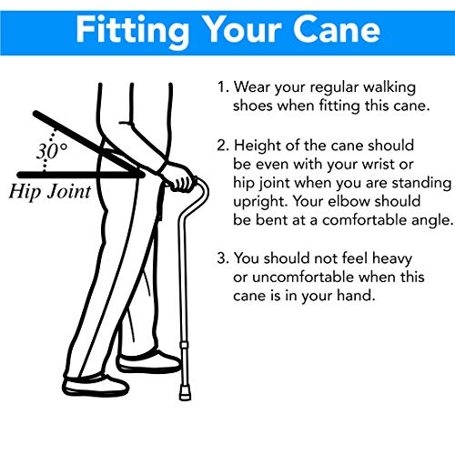 Carex Round Handle Walnut Finish Wood Cane - Walking Cane with Rubber Tip - F...