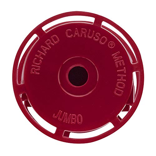 Caruso Professional Jumbo Molecular Replacement Steam Hair Rollers with Shiel...