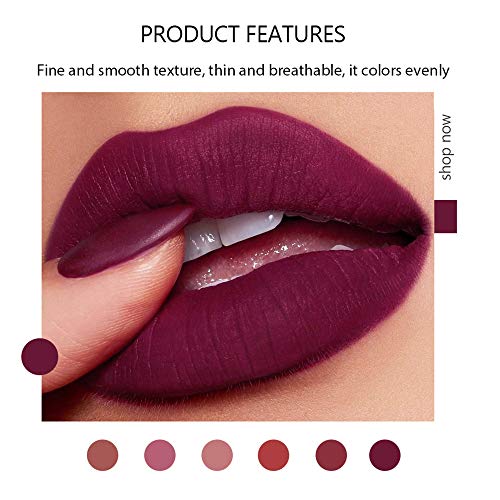 CCbeauty Matte Lipstick Set 6 Colors Velvet Smooth Lip Stick Long Lasting Moi...