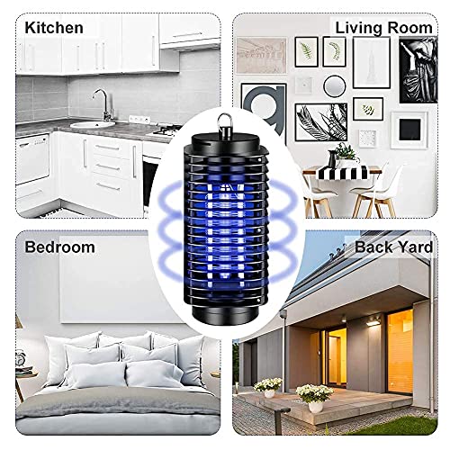 Century Shampoo Scalp Massage Brush #100 * Blue * 6 - Brushes