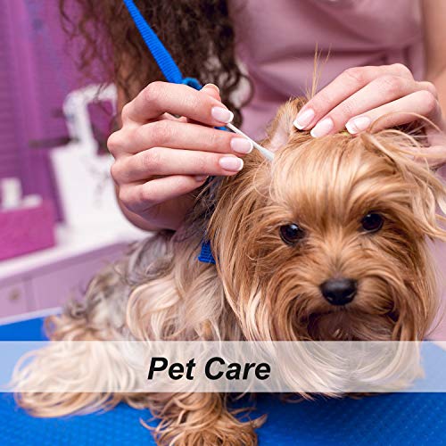 800 Pieces Cotton Swabs, Double Tipped Precision Tips Cotton Buds Spiral Head...