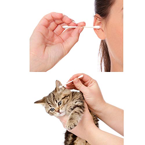 800 Pieces Cotton Swabs, Double Tipped Precision Tips Cotton Buds Spiral Head...