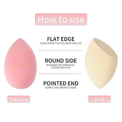 Charm Arbre Makeup Blender Sponge Set,Cosmetics tool,Multi-functional Beauty ...