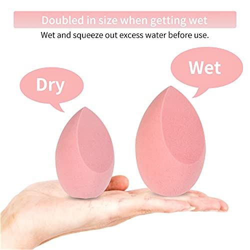 Charm Arbre Makeup Blender Sponge Set,Cosmetics tool,Multi-functional Beauty ...
