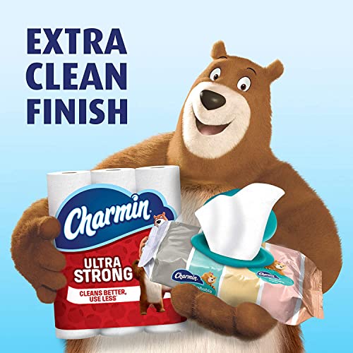 Charmin Flushable Wipes, 12 packs of 40 Flushable Wipes, 480 Wipes Total (Pac...