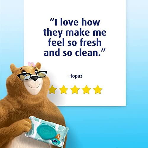 Charmin Flushable Wipes, 12 packs of 40 Flushable Wipes, 480 Wipes Total (Pac...