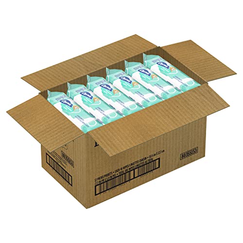 Charmin Flushable Wipes, 12 packs of 40 Flushable Wipes, 480 Wipes Total (Pac...