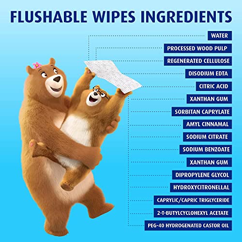 Charmin Flushable Wipes, 12 packs of 40 Flushable Wipes, 480 Wipes Total (Pac...