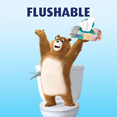 Charmin Flushable Wipes, 12 packs of 40 Flushable Wipes, 480 Wipes Total (Pac...