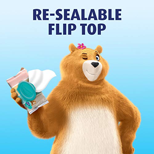 Charmin Flushable Wipes, 12 packs of 40 Flushable Wipes, 480 Wipes Total (Pac...