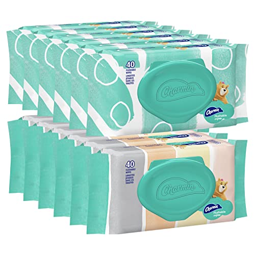 Charmin Flushable Wipes, 12 packs of 40 Flushable Wipes, 480 Wipes Total (Pac...