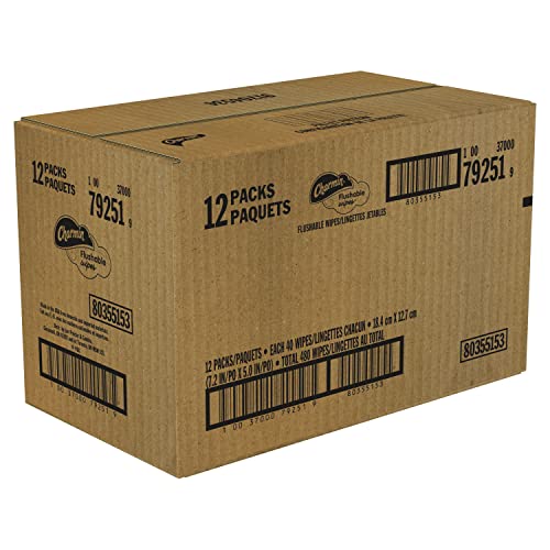 Charmin Flushable Wipes, 12 packs of 40 Flushable Wipes, 480 Wipes Total (Pac...