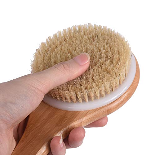 Chikoni Dry Bath Body Brush Back Scrubber with Anti-slip Long Wooden Handle, ...