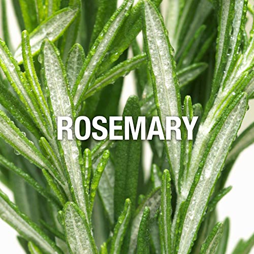 Ed Hardy Hearts and Daggers for Men, Men’s Cologne Spray 3.4 oz