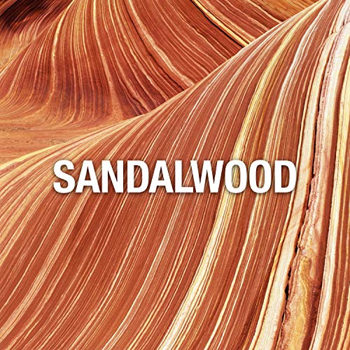 Ed Hardy Hearts and Daggers for Men, Men’s Cologne Spray 3.4 oz