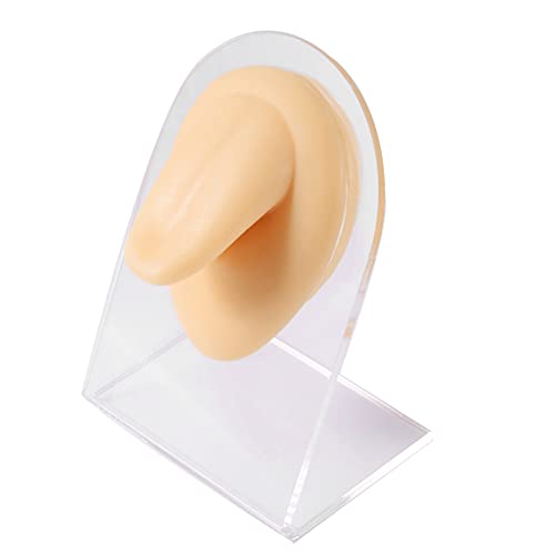 CHUANCI Soft Silicone Flexible Model Body Part Displays Set for Acupuncture H...