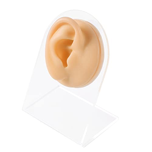 CHUANCI Soft Silicone Flexible Model Body Part Displays Set for Acupuncture H...