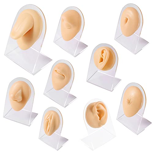 CHUANCI Soft Silicone Flexible Model Body Part Displays Set for Acupuncture H...