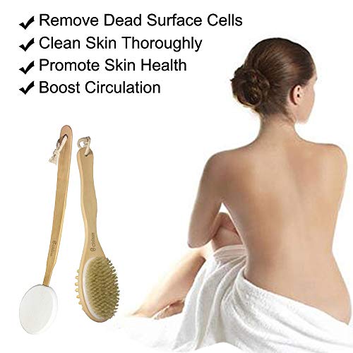 2PACK CITISSE Premium Dry Brushing Body Brush Set- Natural Boar Bristle Showe...