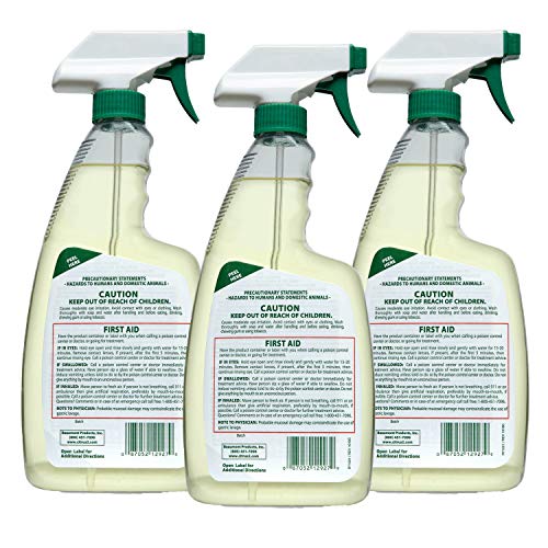Citrus II Hospital Germicidal Deodorizing Cleaner, Fresh Citrus, 22-Fluid Oun...