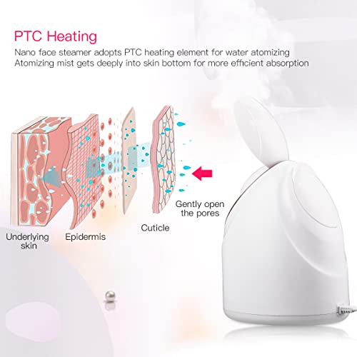 Facial Steamer CkeyiN Nano Ionic Facial Steamer with Adjustable Angle Mist Hu...