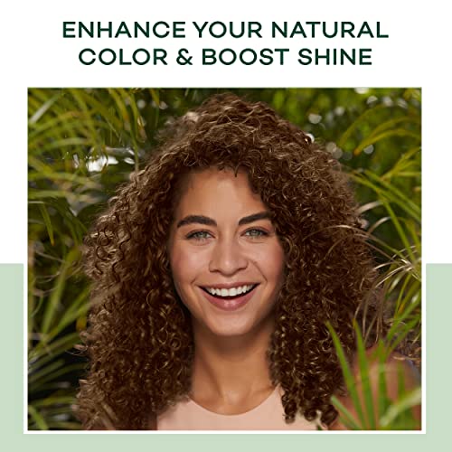 Clairol Natural Instincts Demi-Permanent Hair Dye, 6BZ Light Caramel Brown Ha...