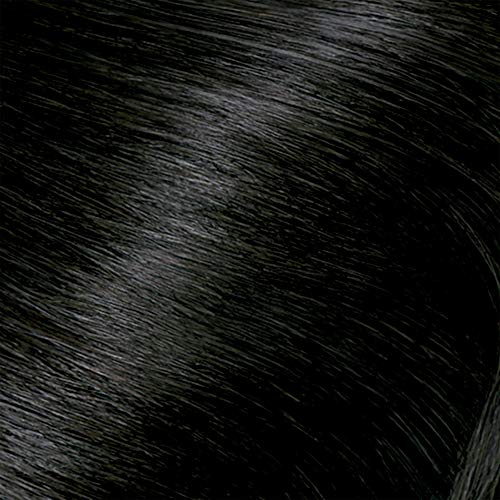 Clairol Nice‘n Easy Perfect 10 Permanent Hair Dye, 2 Black Hair Color, 2 Count