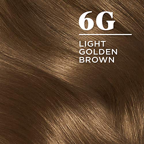 Clairol Nice'N Easy Crème 6G Light Golden Brown, Pack of 3