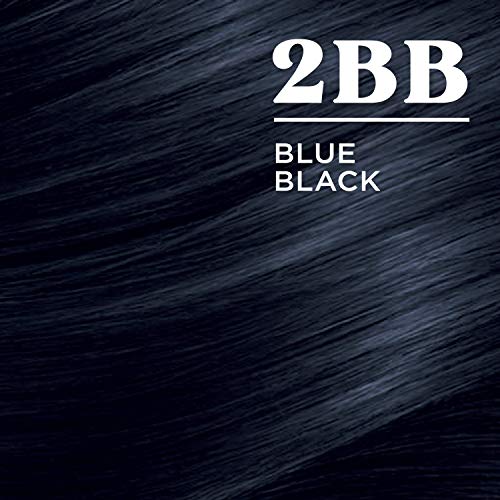 Clairol Nice'N Easy Hair Color Crème, 2BB Blue Black, Pack of 3 (Packaging Ma...