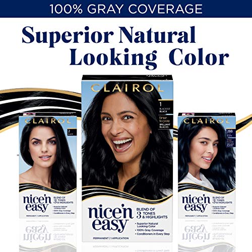 Clairol Nice'N Easy Hair Color Crème, 2BB Blue Black, Pack of 3 (Packaging Ma...