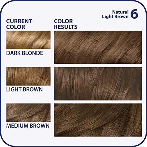 Clairol Nice'n Easy Liquid Permanent Hair Dye, 6 Light Brown Hair Color, 3 Count
