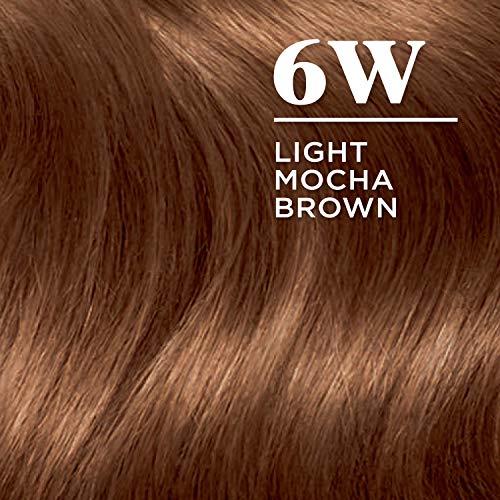 Clairol Nice'n Easy Permanent Hair Dye, 6W Light Mocha Brown Hair Color, 1 Count