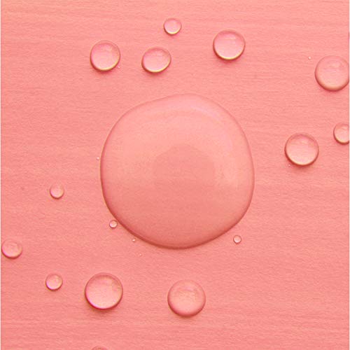 Clean & Clear Essentials Oil-Free Deep Cleaning Face Astringent with 2% Salic...