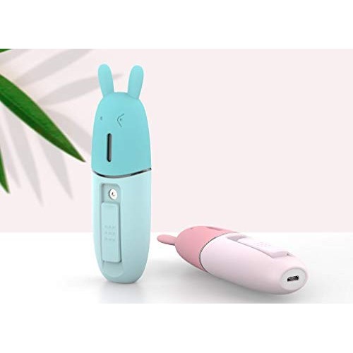 Nano Facial Mister, Clean Face Cool Mist, Portable Rechargeable Facial Spraye...