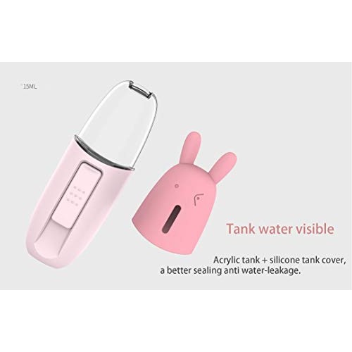 Nano Facial Mister, Clean Face Cool Mist, Portable Rechargeable Facial Spraye...