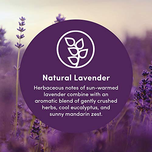 Clean Revolution Foaming Hand Soap Refill Supply Container. Ready to Use Form...