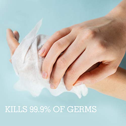 Cleanze Antibacterial Hand Sanitizing Hand Wipes | Individual Hand Wipe Packe...