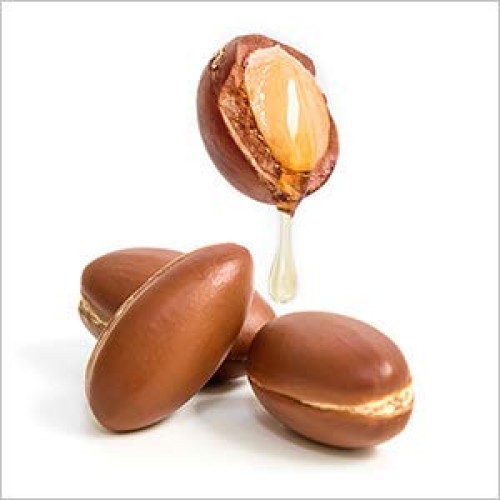 Cliganic Organic Argan Oil 16oz with Pump, 100% Pure | Bulk for Hair, Face & ...