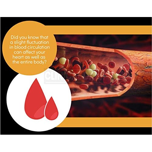 CLINICAL DAILY Blood Circulation Supplement. Butchers Broom, Horse Chestnut, ...