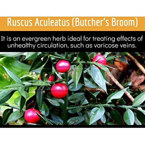 CLINICAL DAILY Blood Circulation Supplement. Butchers Broom, Horse Chestnut, ...
