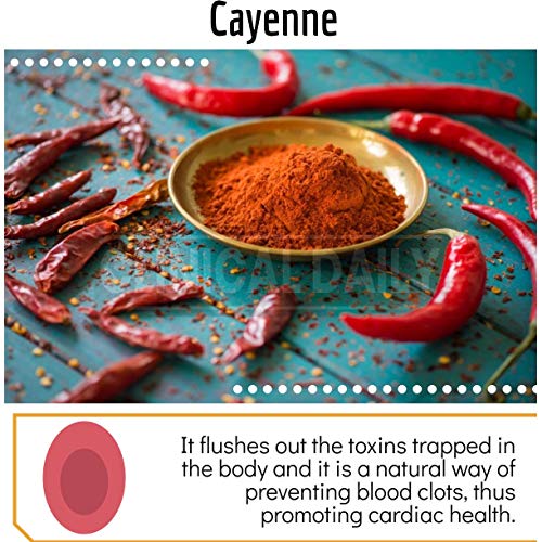 CLINICAL DAILY Blood Circulation Supplement. Butchers Broom, Horse Chestnut, ...