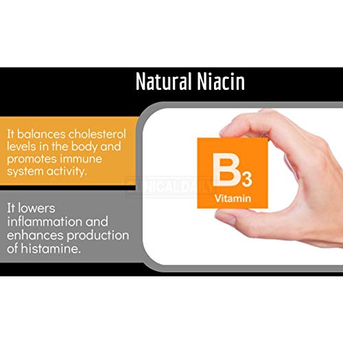 CLINICAL DAILY Blood Circulation Supplement. Butchers Broom, Horse Chestnut, ...