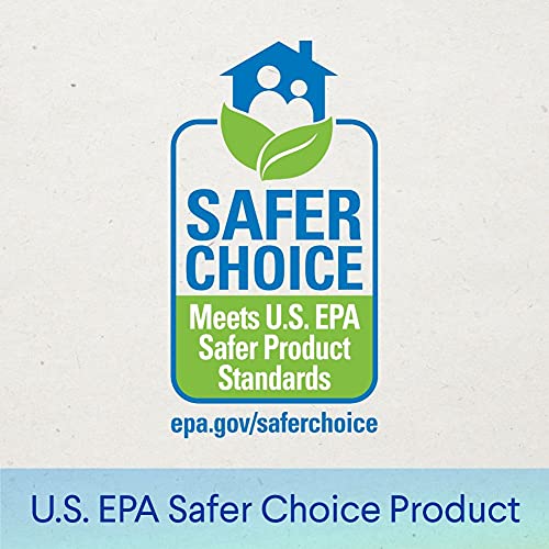 Clorox Compostable Cleaning Wipes - All Purpose Wipes - Simply Lemon, 75 Coun...