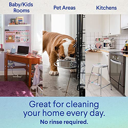 Clorox Compostable Cleaning Wipes - All Purpose Wipes - Simply Lemon, 75 Coun...