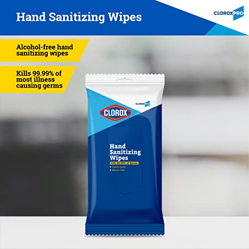 Clorox Pro Hand Wipes in Resealable Pouch, 20 Ct | Clorox Alcohol Free Wipes ...